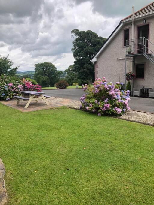 Meadow House In County Donegal Lejlighed Donegal Town Eksteriør billede